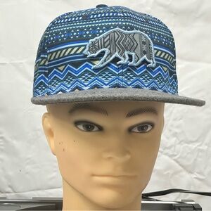 Grassroots California Blue Patterned Cap removable bear patch
